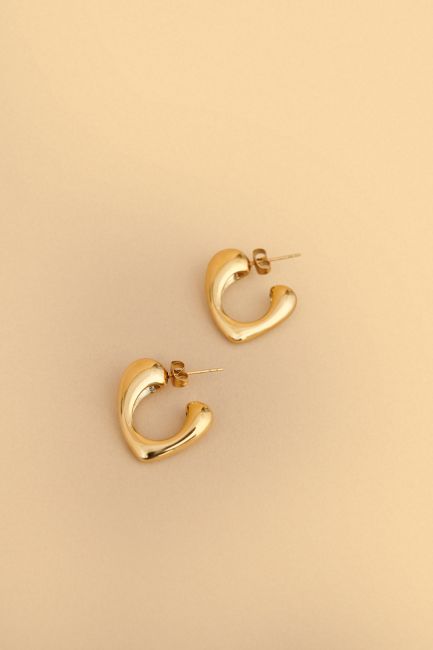 Stainless steel earrings - Gold